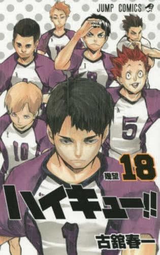 Cover of Haikyu!! 18