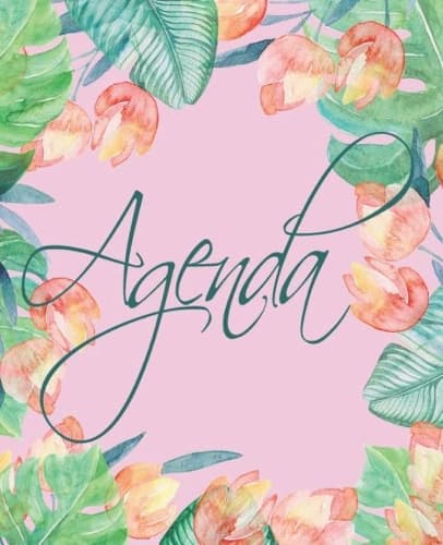 Cover of Agenda: 2019 Daily Planner
