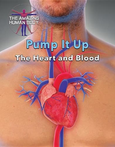 Cover of Pump It Up