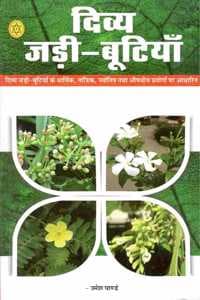 Cover of Divya Jadibutiyan [Paperback] Umesh Pandey