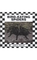 Cover of Spiders Set 1