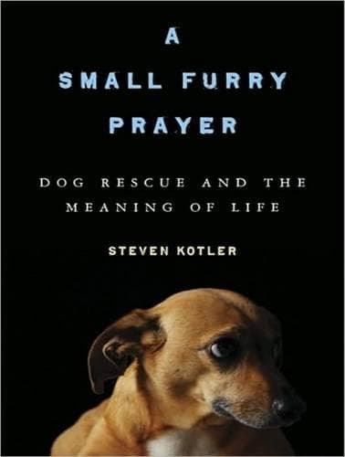 Cover of A Small Furry Prayer