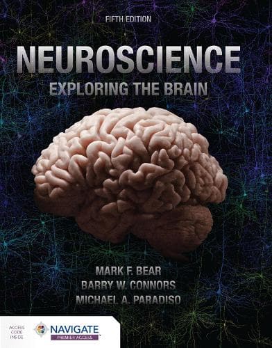 Cover of Neuroscience: Exploring the Brain