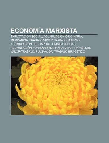 Cover of Economia Marxista