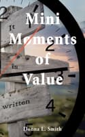 Cover of Mini Moments of Value