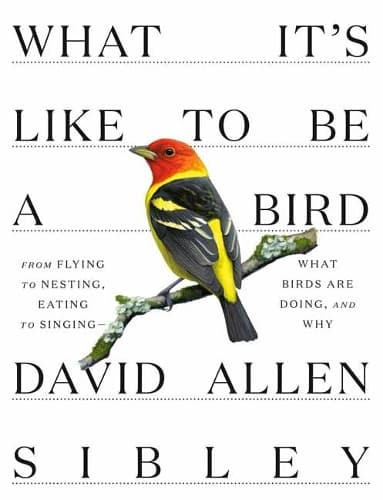 Cover of What It's Like to be a Bird