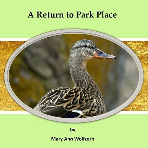 Cover of A Return to Park Place