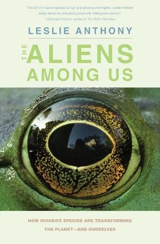 Cover of The Aliens Among Us
