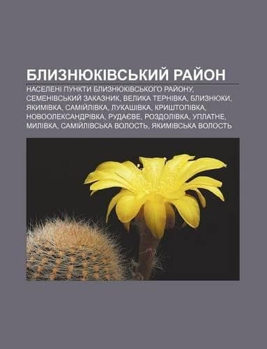 Cover of Blyznyukivs Kyy Ray on