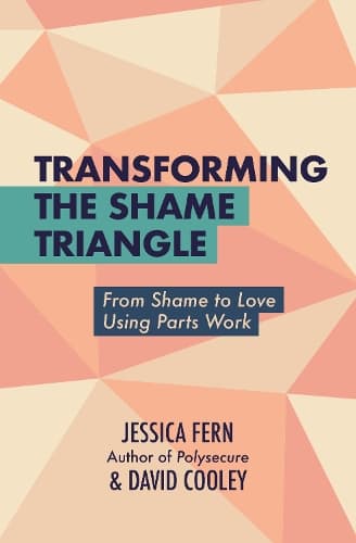 Cover of Transforming the Shame Triangle