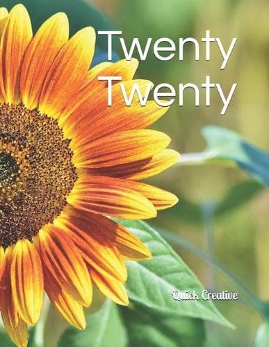 Cover of Twenty Twenty
