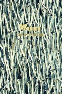 Cover of Ralph Mueller: WUM
