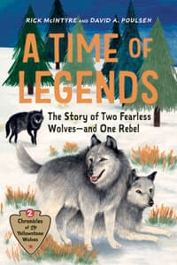 Cover of A Time of Legends