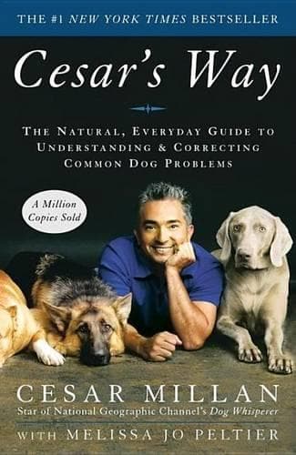 Cover of Cesar's Way
