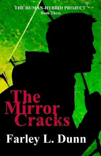 Cover of The Mirror Cracks