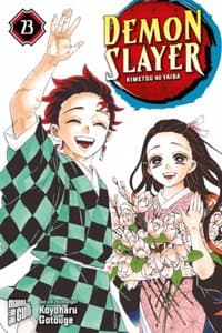 Cover of Demon Slayer - Kimetsu no Yaiba 23