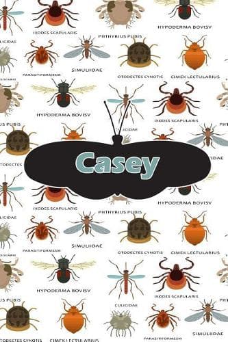 Cover of Casey: Bug Insect Draw and Write Journal Notebook 120 Pages 6x9