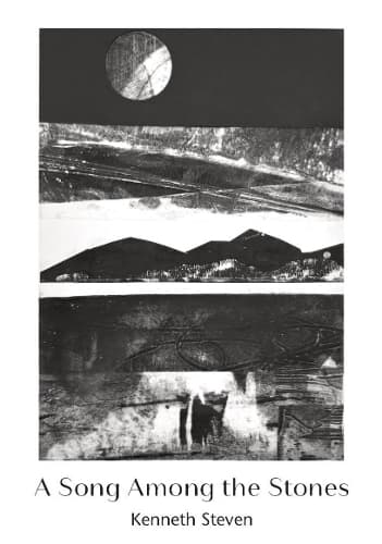 Cover of A Song Among the Stones