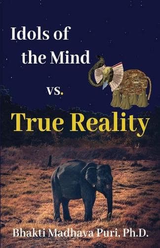 Cover of Idols of the Mind vs. True Reality