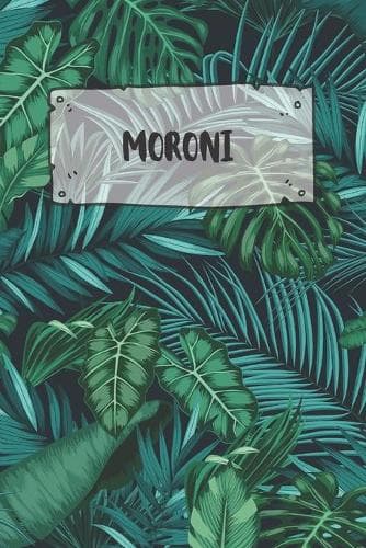 Cover of Moroni
