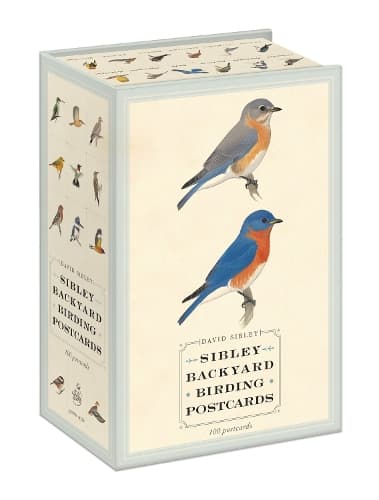 Cover of Sibley Backyard Birding Postcards