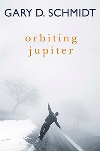 Cover of Orbiting Jupiter