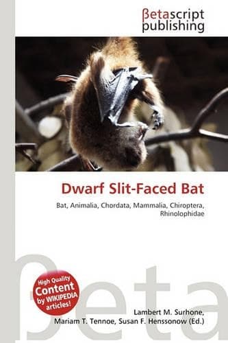 Cover of Dwarf Slit-Faced Bat
