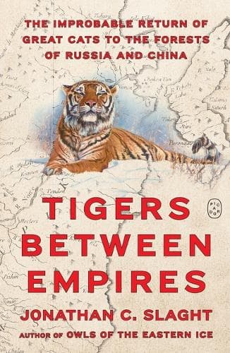 Cover of Tigers Between Empires