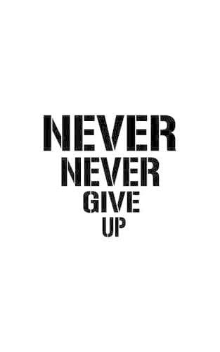 Cover of Never Never Give Up