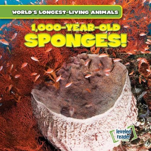 Cover of 1,000-Year-Old Sponges!