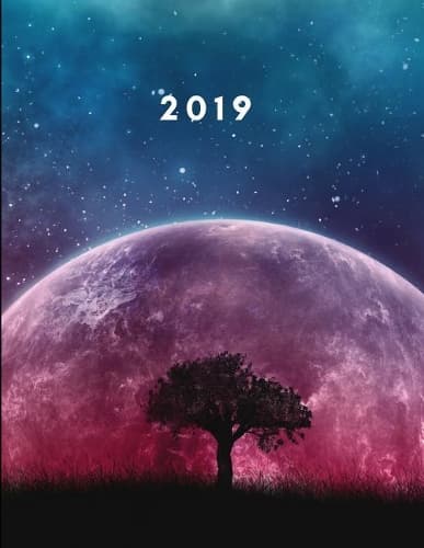 Cover of 2019