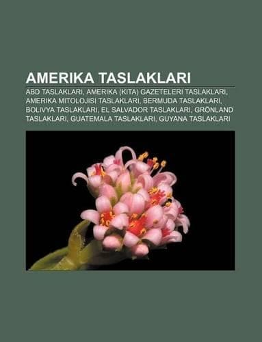 Cover of Amerika Taslaklar