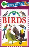 Cover of My First Board Books Birds | Big Size Board Book For Kids By Sawan
